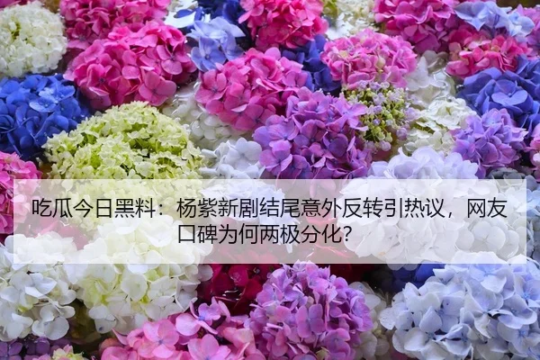 吃瓜今日黑料：杨紫新剧结尾意外反转引热议，网友口碑为何两极分化？